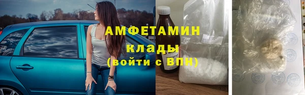 2c-b Ельня