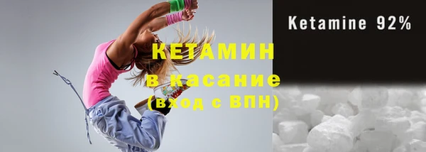 сатива Надым