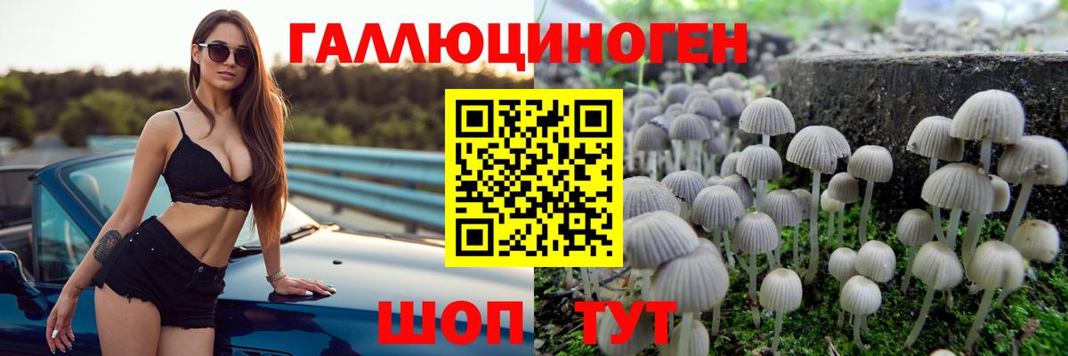 купить  сайты  Псилоцибиновые грибы ЛСД  Вход с VPN  Изобильный 