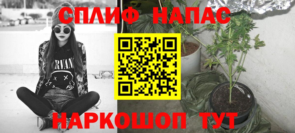 МАРИХУАНА индика Изобильный